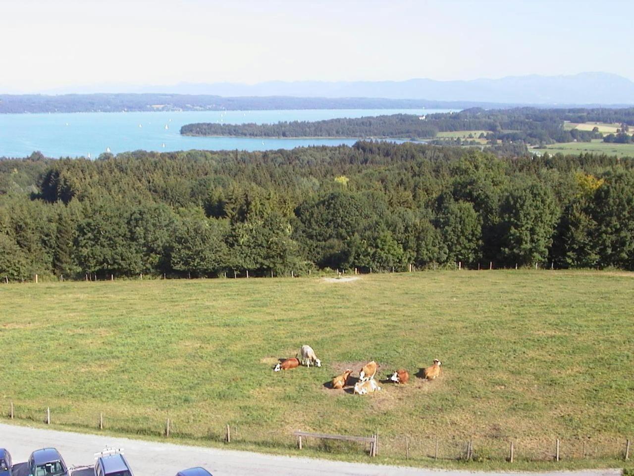 Casa Piedro Lägenhet Starnberg Exteriör bild